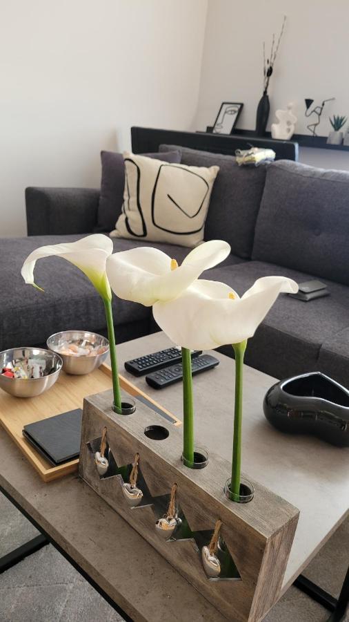 Apartman Riva Kraljevo Dış mekan fotoğraf